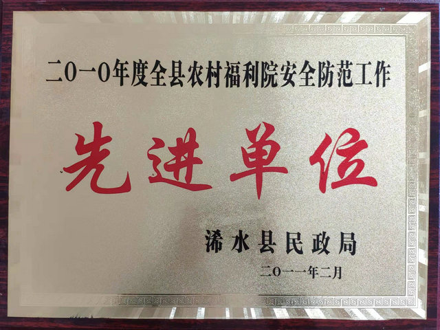 2011年度全县农村福利院安全防范工作